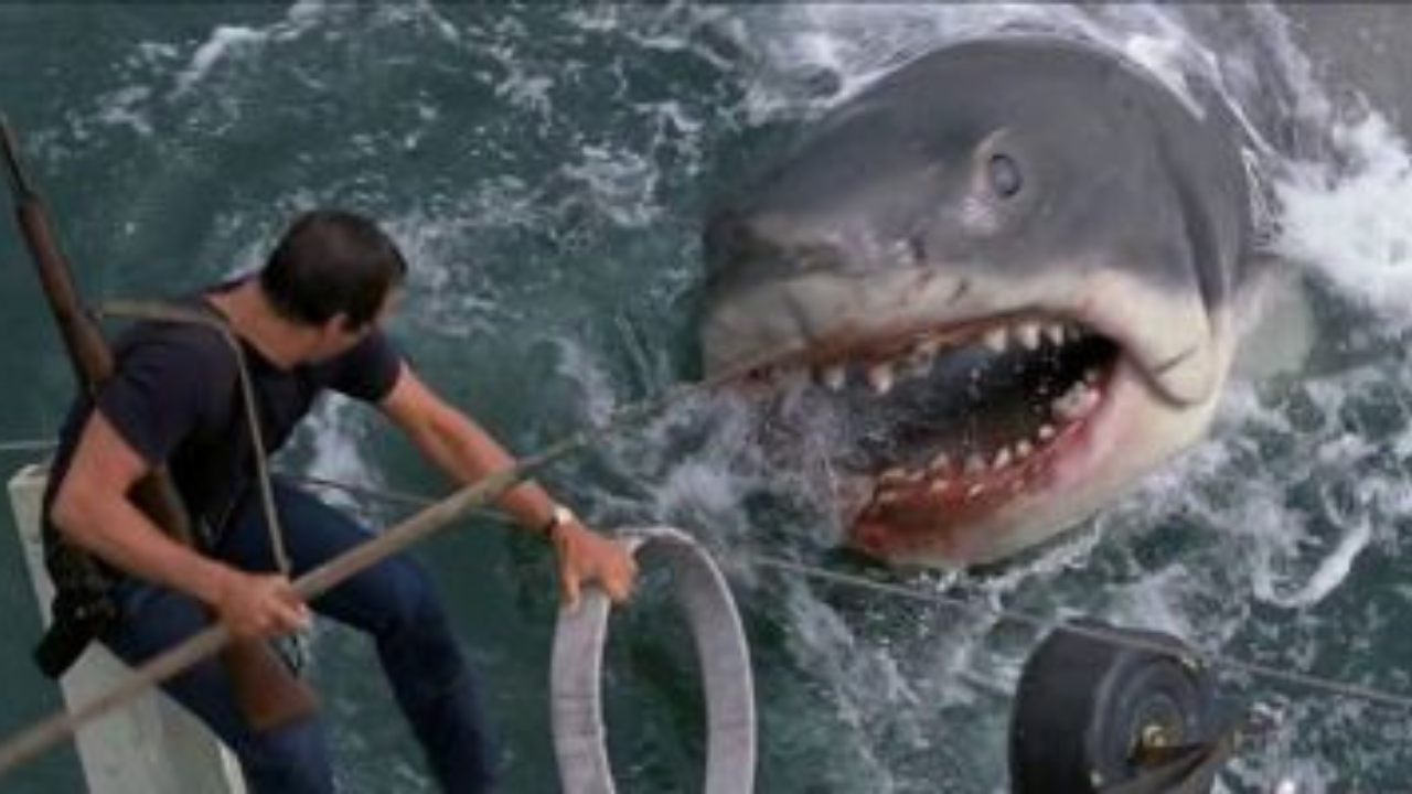 Roy Scheider in Jaws